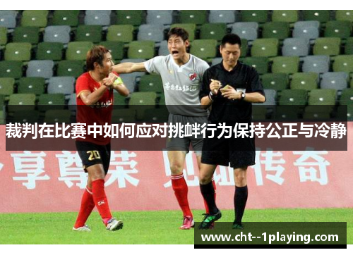 裁判在比赛中如何应对挑衅行为保持公正与冷静