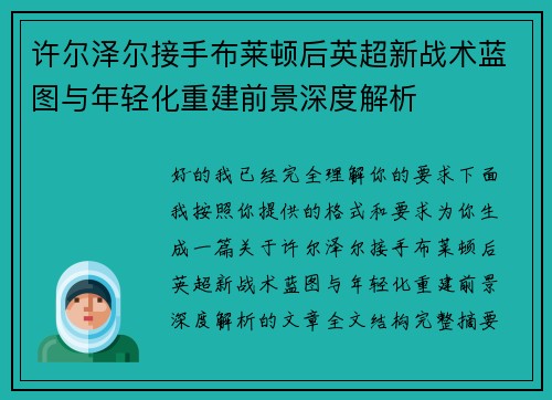 许尔泽尔接手布莱顿后英超新战术蓝图与年轻化重建前景深度解析